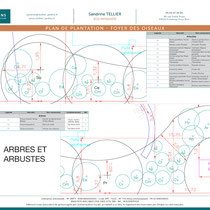 Plan de plantation du foyer des oiseaux