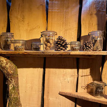 Festival international des jardins de Chaumont sur Loire 2025