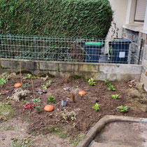 Plantation en cours par les clients - Photo client