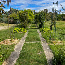Allée de grimpantes de l'école Du Breuil