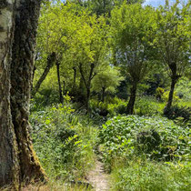Val Maubrune - Descente dans la vallée