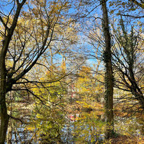 Lac des Minimes du bois de Vincennes