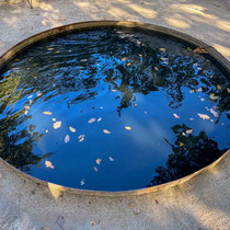 Festival international des jardins de Chaumont sur Loire 2025