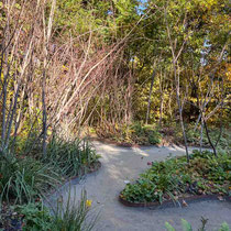 Festival international des jardins de Chaumont sur Loire 2025