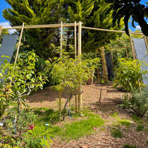 Collection de saisonnières de l'école Du Breuil