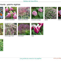 Palette végétale de la cachette arborée