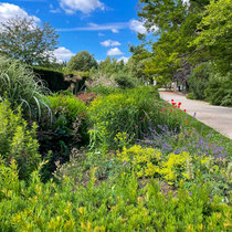Mixed border des jardins de l'école Du Breuil