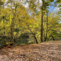 Abords du lac des Minimes au bois de Vincennes