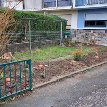 Plantation en cours par les clients - Photo client