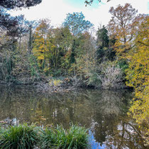 Lac des Minimes du bois de Vincennes