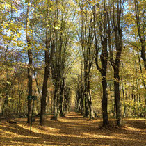 Verticalité près du lac des Minimes