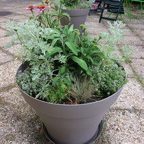 Bac sur la terrasse ensoleillée