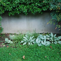 Septembre 2018 : les vivaces prennent maintenant leur place. Le prochain printemps devrait être au top !