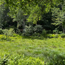 Val Maubrune - La vallée