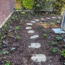 Jardin 2 semaines après plantation