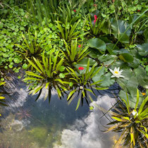 Collection de saisonnières de l'école Du Breuil