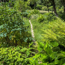 Val Maubrune - Descente dans la vallée