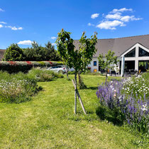 Mai 2025 : le jardin a 2 ans