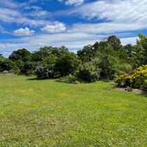 Fruticetum de l'école Du Breuil