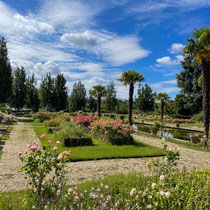 Bassin de la roseraie