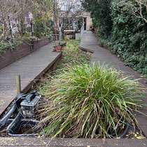 Jardin avant travaux