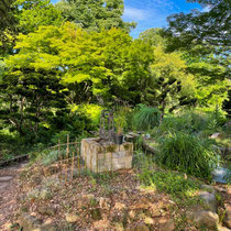 Puits et contrastes de couleurs