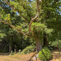 Val Maubrune - Les 6 frères