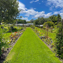 Collection de saisonnières de l'école Du Breuil