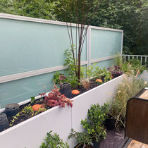Mise en place des ollas et plantations