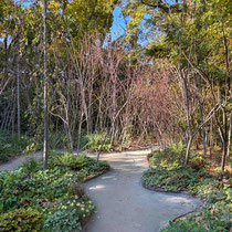 Festival international des jardins de Chaumont sur Loire 2025