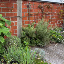 Automne 2025 : le jardin a 5 ans