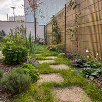 Octobre 2025 : le jardin a presque 1 an