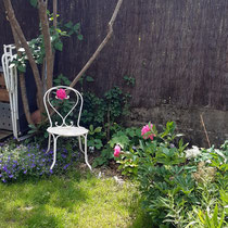 Le jardin 1 an après la plantation - Photo client