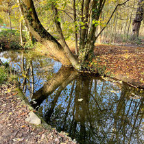 Reflets sur un ruisseau du lac des Minimes