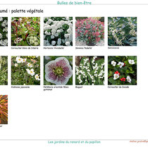 Palette végétale du cocon parfumé