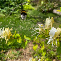 ... et me tourne le dos !