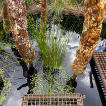 Festival international des jardins de Chaumont sur Loire 2025