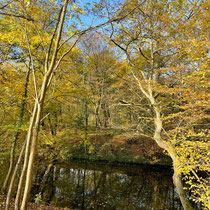 Lac des Minimes du bois de Vincennes