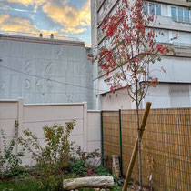 Octobre 2025 : le jardin a presque 1 an