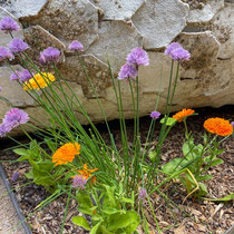 Festival international des jardins de Chaumont sur Loire 2025