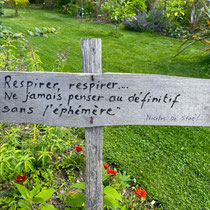 Collection de saisonnières de l'école Du Breuil