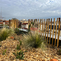 Jardin juste après réalisation - Février 2023