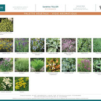 Palette végétale - extrait