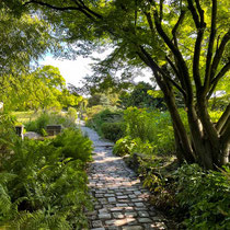 Chemin de la rocaille des jardins de l'école du Breuil