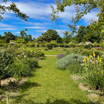 Roseraie de l'école Du Breuil