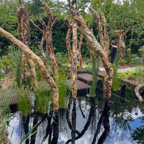 Festival international des jardins de Chaumont sur Loire 2025