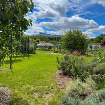 Potager de l'école Du Breuil