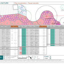 Plan de plantation