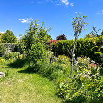 Mai 2025 : le jardin a 2 ans