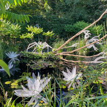 Festival international des jardins de Chaumont sur Loire 2025